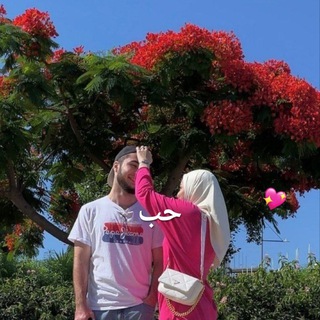 Логотип @instagram_stories_chatt - CHAT ❤️