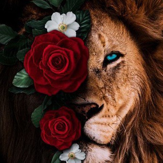 Логотип @instamama_three - Бизнес пакет удалённых профессий