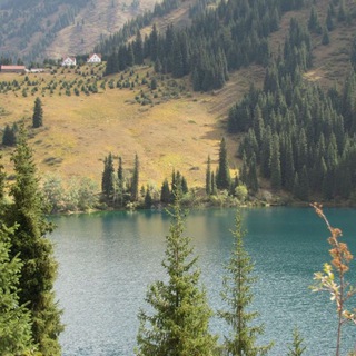 Логотип @instamilligram - Instamilligram 📷