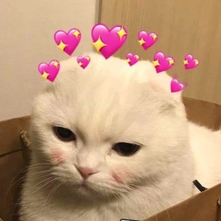 Логотип @instastoryes - ИНСТАГРАМ ИСТОРИИ