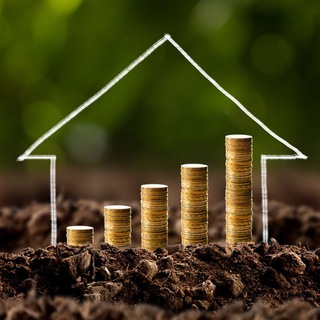 Логотип @instestandbiz - Про инвестиции в недвижимость и не только