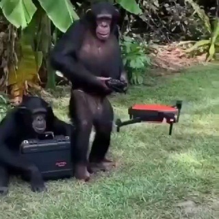 Логотип @instruct10ns - Дроны: агрегатор