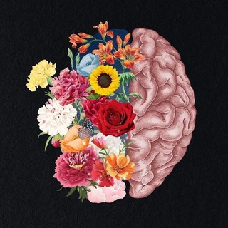 Логотип @intelligence_win - Probably, my brain