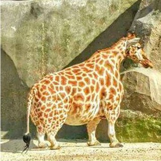 Логотип @intere - Интересный паблик