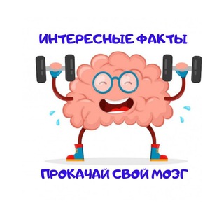 Логотип @interes54321 - Познавательные факты
