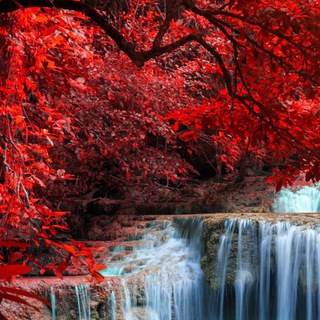 Логотип @interes_raz - Субполитика