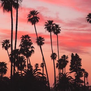 Логотип @interesniynashmir - Интересные факты