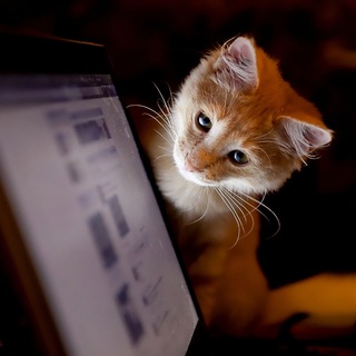 Логотип @interesno_first - InteresNo