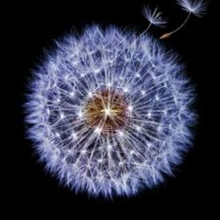 Логотип @interesnoe_c - Интересное