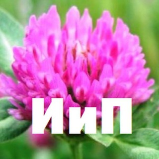 Логотип @interesnoipoznavatelno1 - Интересно и познавательно (ИиП)