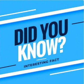 Логотип @interesnoye_fact - INTERESTING FACTS