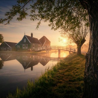 Логотип @interessssno - ✔️ Интересные факты ✔️