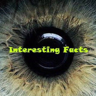 Логотип @interestforu - Интересные факты