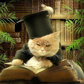 Логотип @interesting_and_informative - Интересно и познавательно🧐🔥