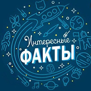 Логотип @interesting_facttss - ИНТЕРЕСНЫЕ ФАКТЫ🧠