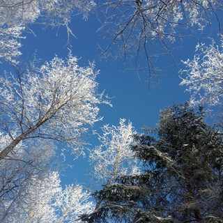 Логотип @interestingrussia1 - Что то интересное