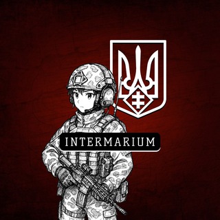 Логотип @intermariumua - Твій INTERMARIUM