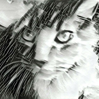 Логотип @internetcats - Kitties R Us