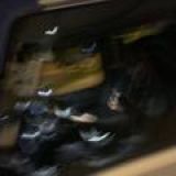 Логотип @interpol_squad - INTERPOL