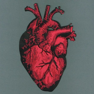 Логотип @intersmed - The Medicine