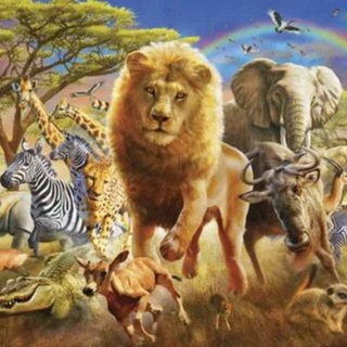 Логотип @intheanimalworld_tm - В Мире Животных