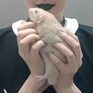 Логотип @inthewillows - кислые щеки