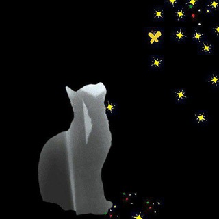 Логотип @intr0mur - ИнтроМур