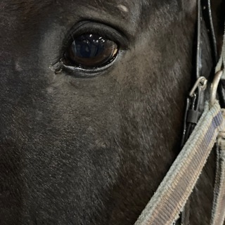 Логотип @introvert99 - пещерный человек.