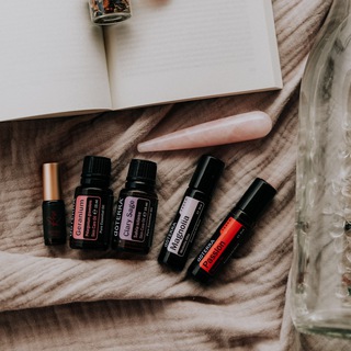 Логотип @intuitionbuddy - Intuitionbuddy NEWS