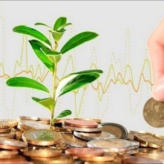 Логотип @investmentgirls - Инвестиции моей жены