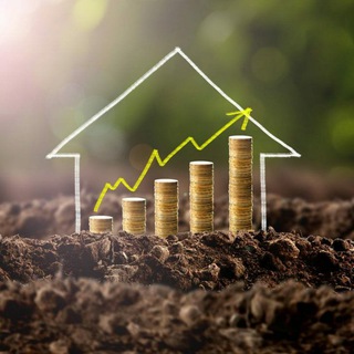 Логотип @investor_3d - 3D инвестор 💵 💵 💵 🔥