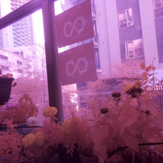 Логотип @iotgarden - IoT Garden By Zenofall