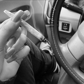 Логотип @ipalylist - 4:20