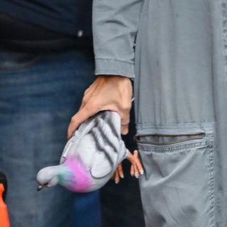 Логотип @iprostokak - И просто как