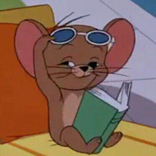 Логотип @iptbudni - Физтех.будни