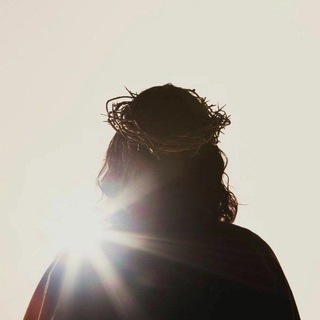 Логотип @iq_pluss - IQ+ | Искусство ТВОРЦА