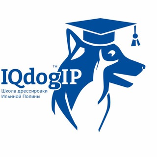 Логотип @iqdog - IQDogIP - школа дрессировки собак Ильиной Полины