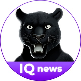 Логотип @iqmonitor_news - IQmonitoring - коротко о главном