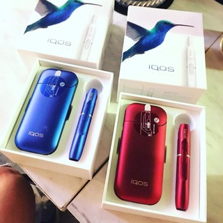 Логотип @iqositalia - IQOS Italia 🇮🇹