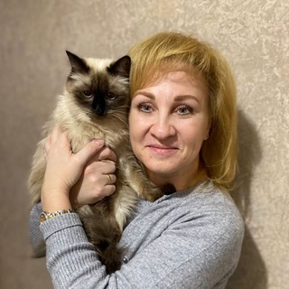 Логотип @irbis_gold - Людмила Карасева Питомник IRBISGOLD