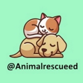 Логотип @irescue - Мои истории спасения