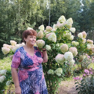 Логотип @irinakonohov - Ирина Конохова. Путь к мечте 💐