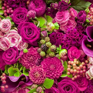 Логотип @irinamaric - ТГ Ирины