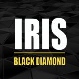 Логотип @iris_black_bot - Iris | Black Diamond