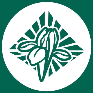 Логотип @irisaromatherapy - «ИРИС» Центр Ароматерапии