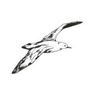 Логотип @irk_messenger - Иркутский буревестник