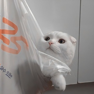 Логотип @irmandadelobinho - MUDAMOS DE GRUPO LINK NA DISCRIÇÃO