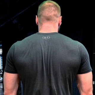 Логотип @ironcardinal - Железный кардинал