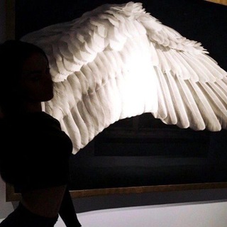 Логотип @ironfistco2 - 𝙎𝙩𝙖𝙣𝙙𝙤𝙛𝙛 2 𝙎𝙩𝙤𝙧𝙚 𝙃3𝙇𝙋𝙞𝙉𝘼.🦋