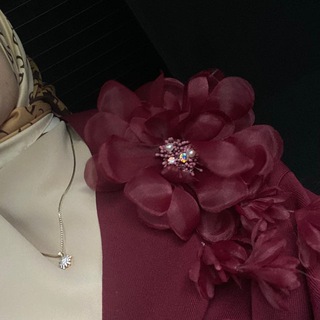 Логотип @irse_du - б1аьсте ོ